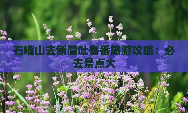 石嘴山去新疆吐鲁番哪里玩