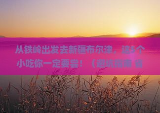 铁岭去新疆布尔津旅游小吃