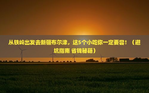 铁岭去新疆布尔津旅游小吃