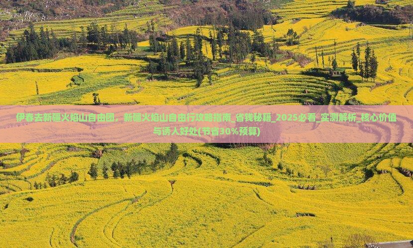 伊春去新疆火焰山自由团