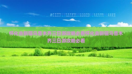 怀化去新疆乌鲁木齐三日游