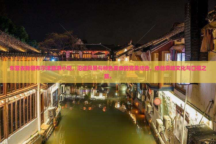 东营去新疆布尔津旅游小吃