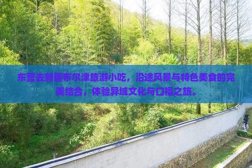 东营去新疆布尔津旅游小吃