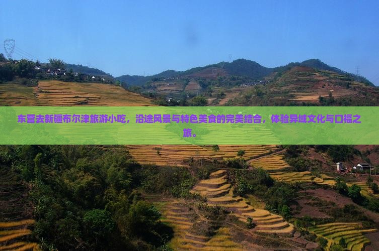 东营去新疆布尔津旅游小吃