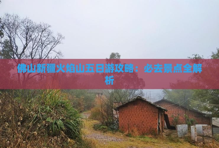 佛山到新疆火焰山五日游