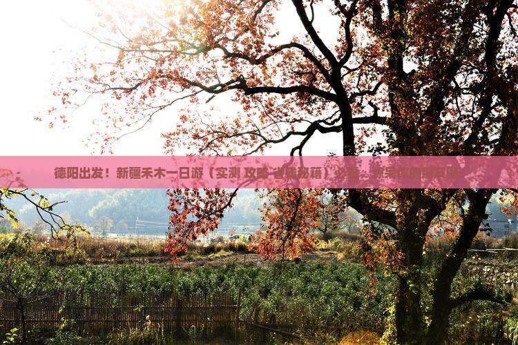 德阳去新疆禾木一日