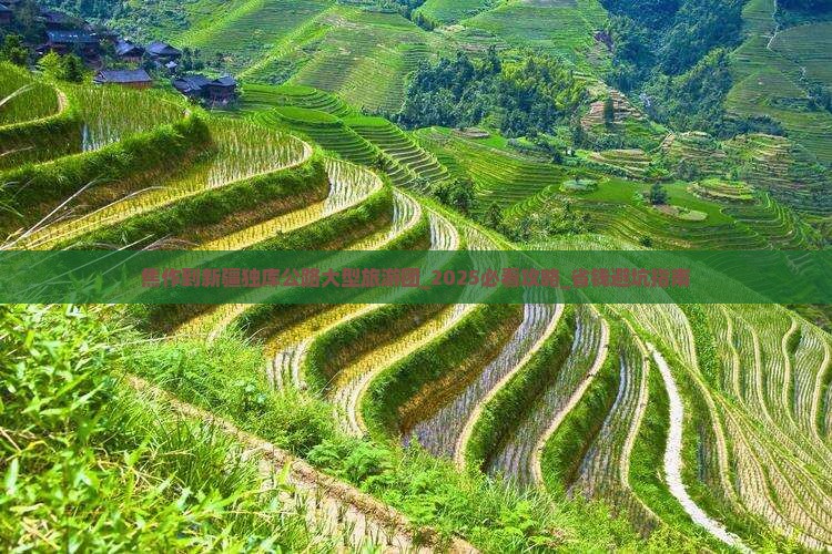 焦作到新疆独库公路大型旅游团