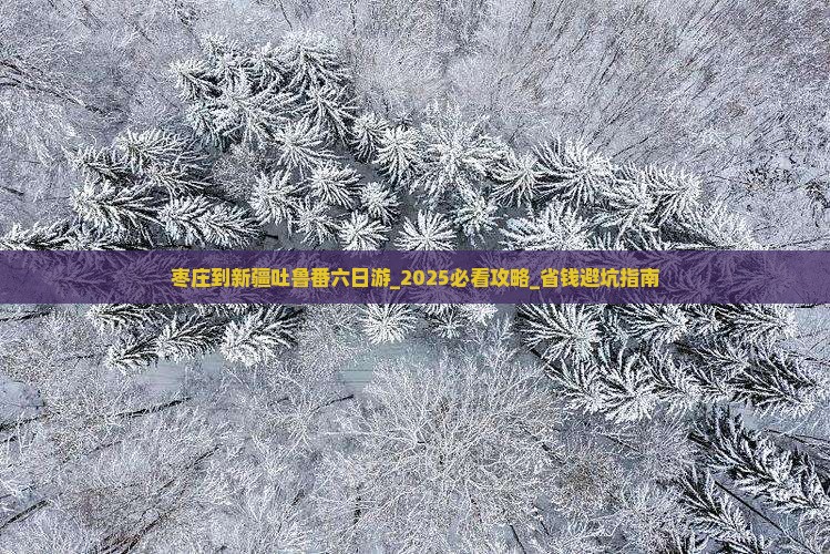 枣庄到新疆吐鲁番六日游