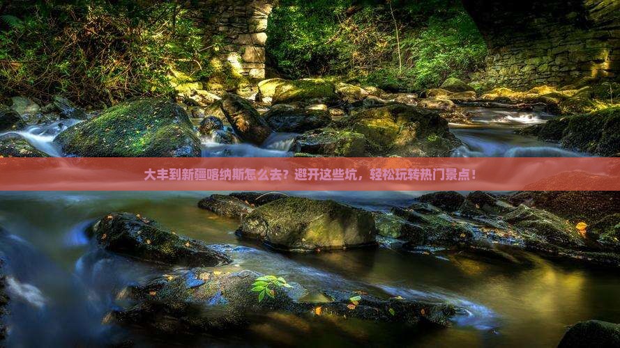 大丰到新疆喀纳斯必去地