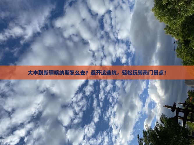 大丰到新疆喀纳斯必去地