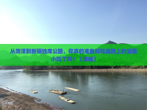 菏泽到新疆独库公路旅游小吃