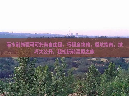 丽水到新疆可可托海自由团