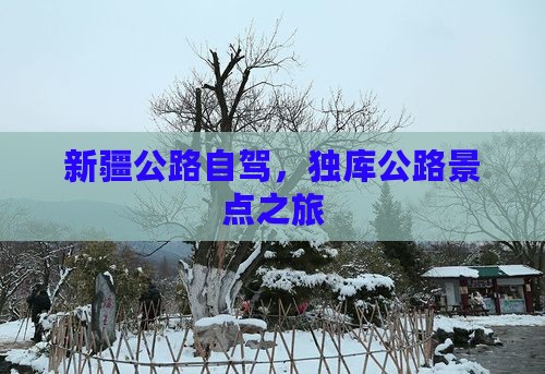 夏天去新疆独库公路景点