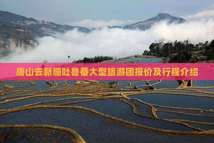 唐山去新疆吐鲁番大型旅游团