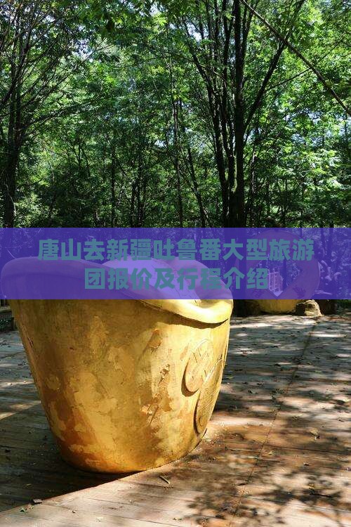 唐山去新疆吐鲁番大型旅游团