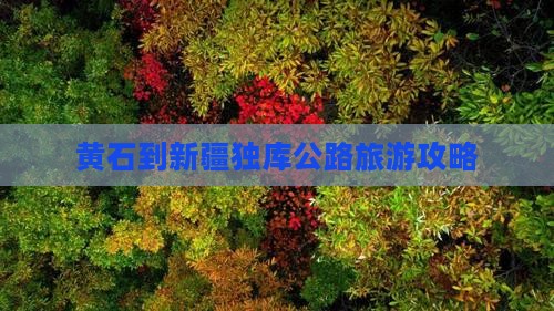黄石到新疆独库公路旅游