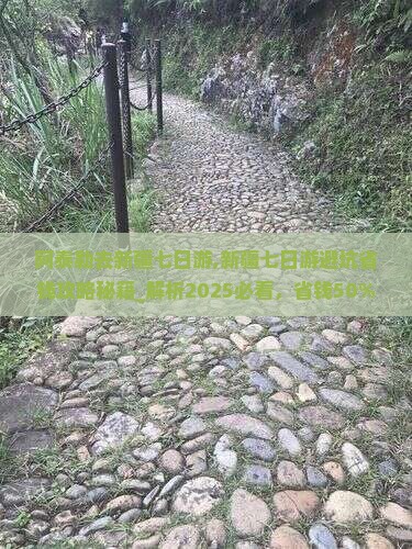 阿泰勒去新疆七日游
