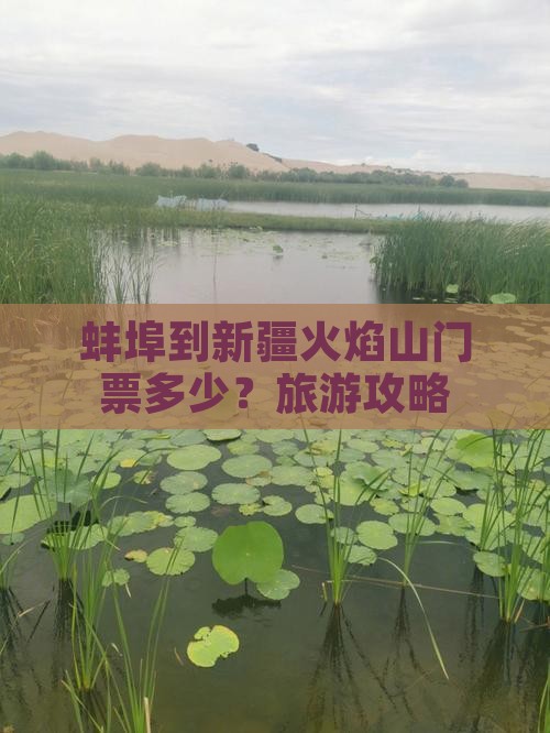 蚌埠到新疆火焰山门票