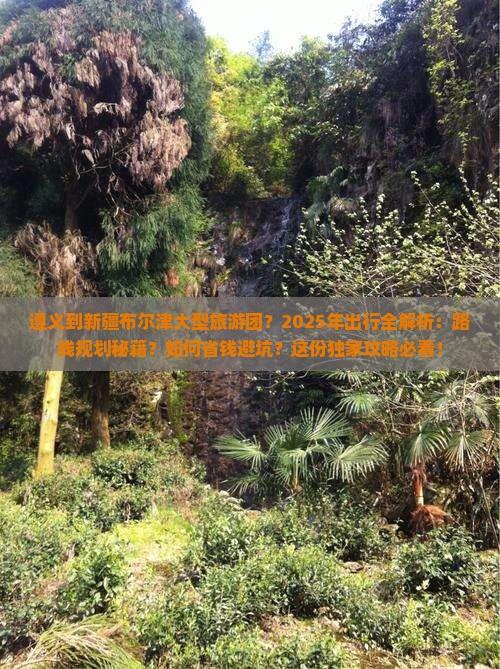 遵义到新疆布尔津大型旅游团