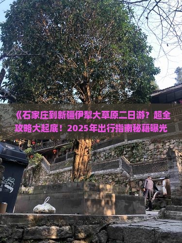 石家庄到新疆伊犁大草原二日游