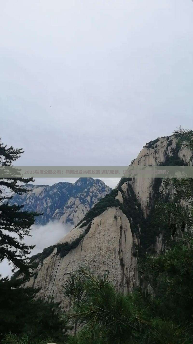 鹤岗到新疆独库公路必去地
