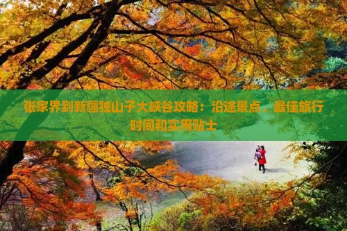 张家界到新疆独山子大峡谷攻略
