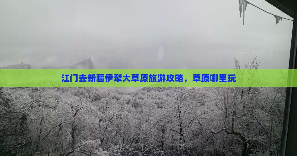 江门去新疆伊犁大草原哪里玩