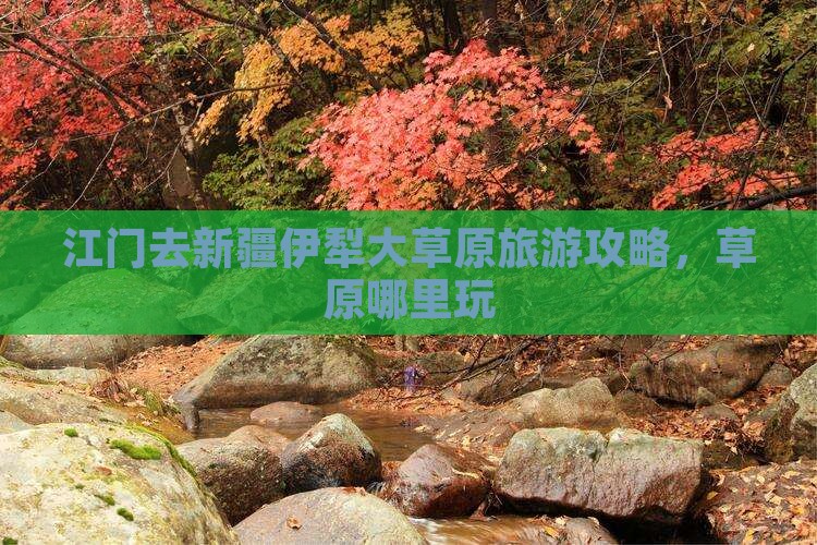 江门去新疆伊犁大草原哪里玩