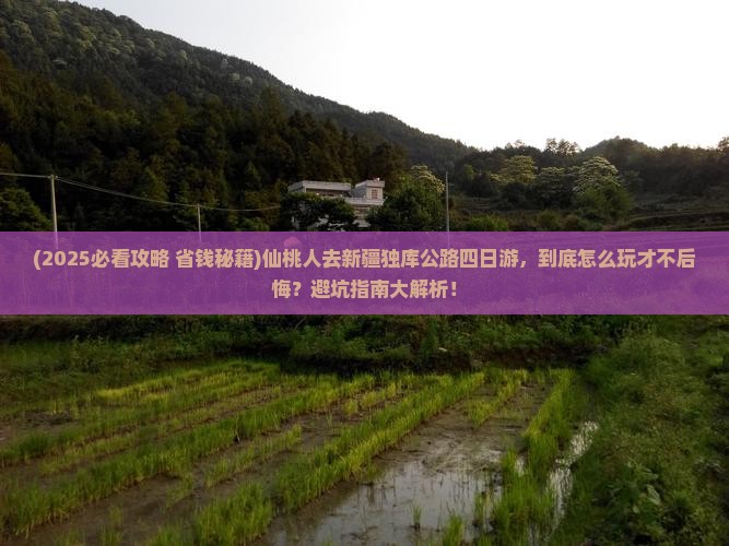 仙桃去新疆独库公路四日游