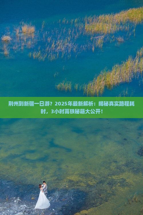 荆州到新疆一日