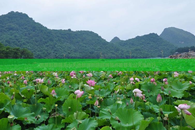固原到新疆天山天池旅行社