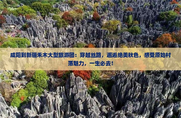 咸阳到新疆禾木大型旅游团