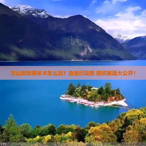 文山到新疆禾木自由行