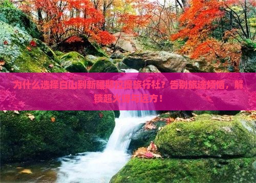 白山到新疆那拉提旅行社
