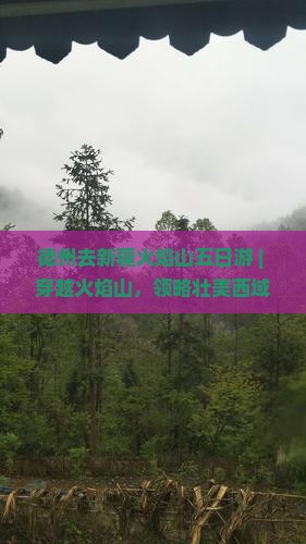 德州去新疆火焰山五日游