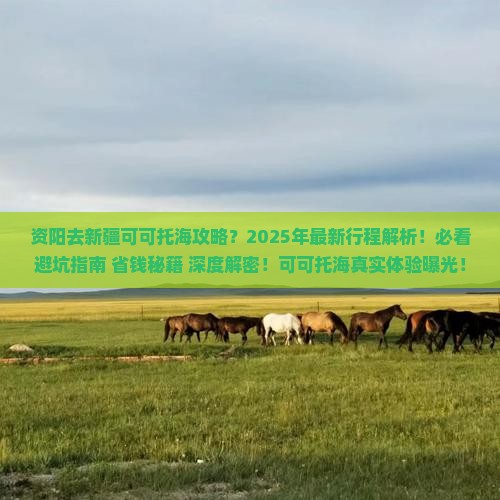 资阳去新疆可可托海攻略