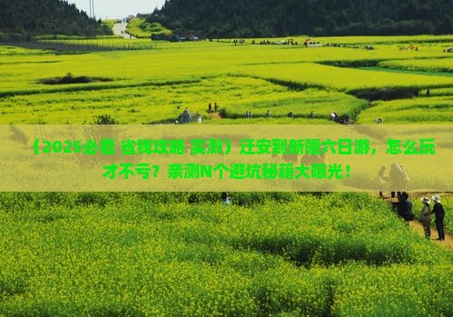 迁安到新疆六日游