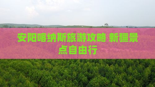 安阳去新疆喀纳斯自由团