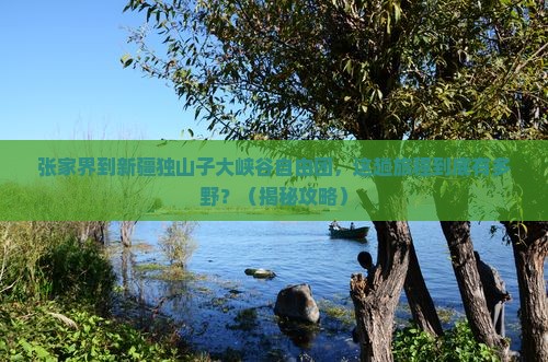 张家界到新疆独山子大峡谷自由团