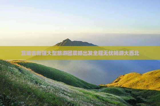 宣城去新疆大型旅游团