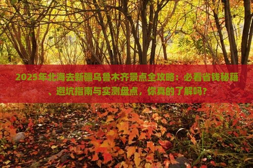 北海去新疆乌鲁木齐景点