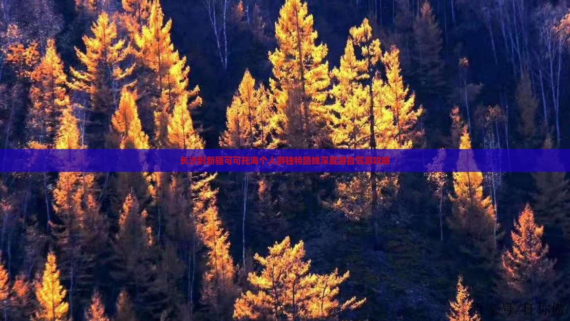 长沙到新疆可可托海个人游