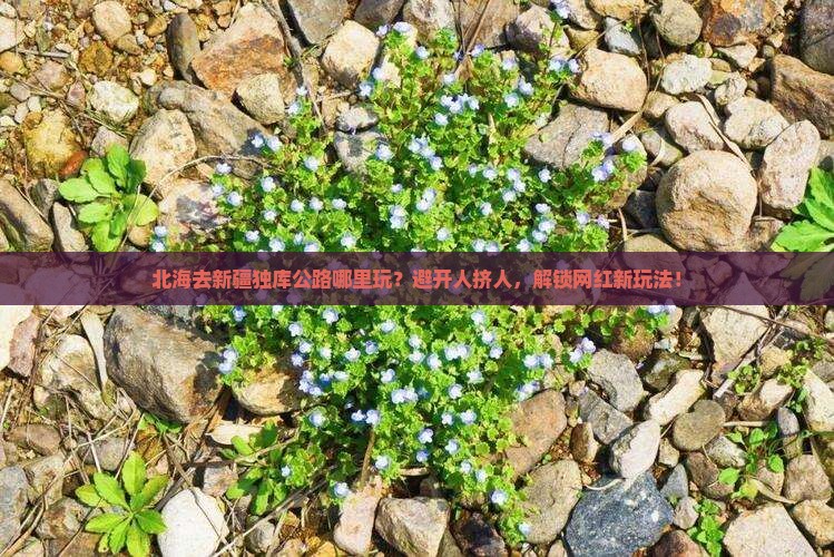 北海去新疆独库公路哪里玩