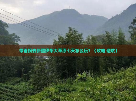 中秋节去新疆伊犁大草原七日游