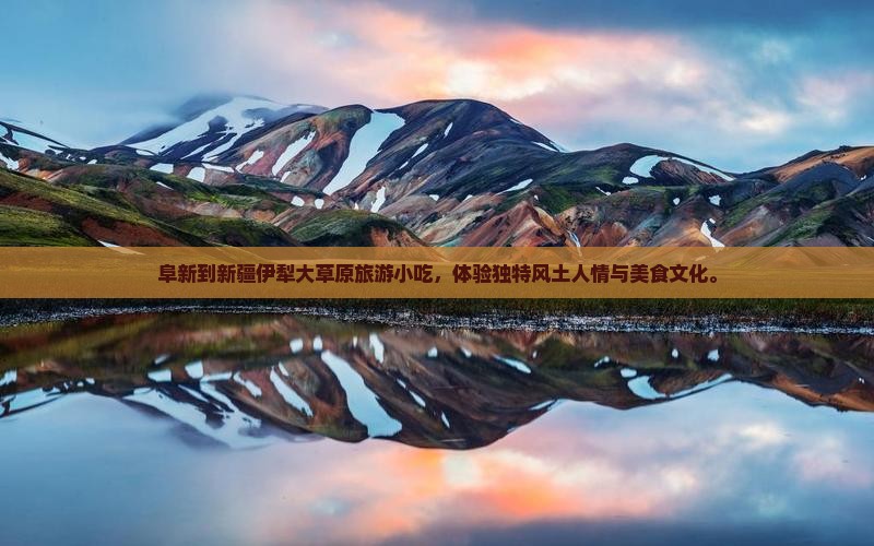 阜新到新疆伊犁大草原旅游小吃