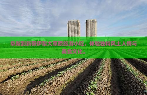 阜新到新疆伊犁大草原旅游小吃