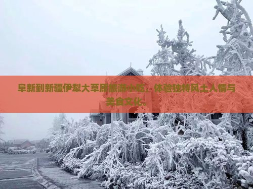 阜新到新疆伊犁大草原旅游小吃