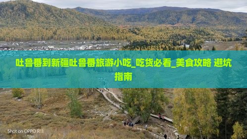 吐鲁番到新疆吐鲁番旅游小吃