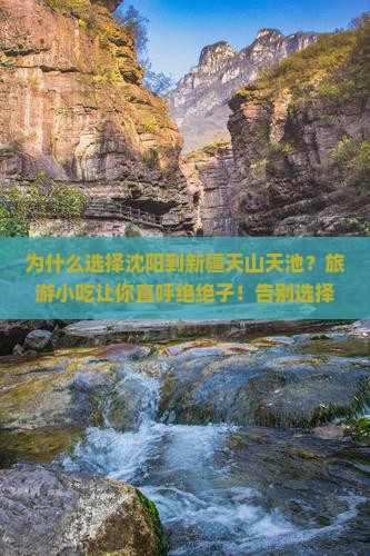 沈阳到新疆天山天池旅游小吃