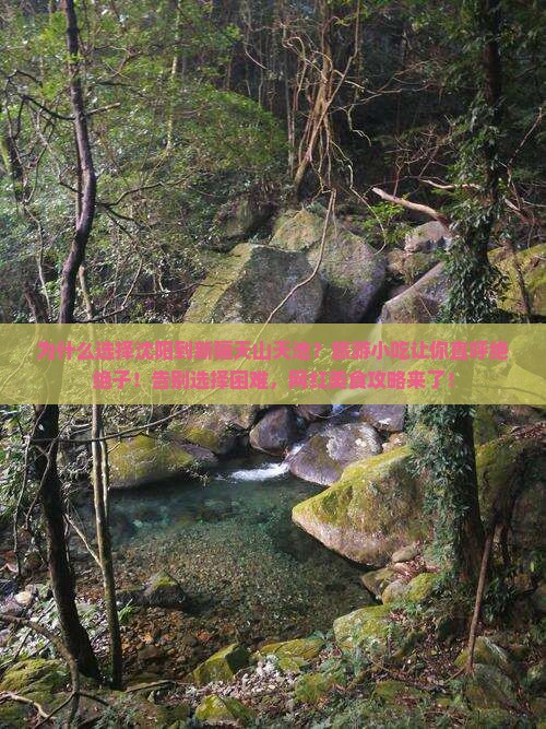 沈阳到新疆天山天池旅游小吃